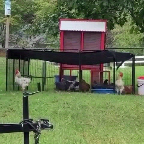 Outdoor Dog Playpen, 8-Panel, 32-Inch, Hammered Finish – Pre-Assembled Garden Dog Enclosure for Small to Medium Dogs, Yard Fence Barrier, Expandable Animal Pen