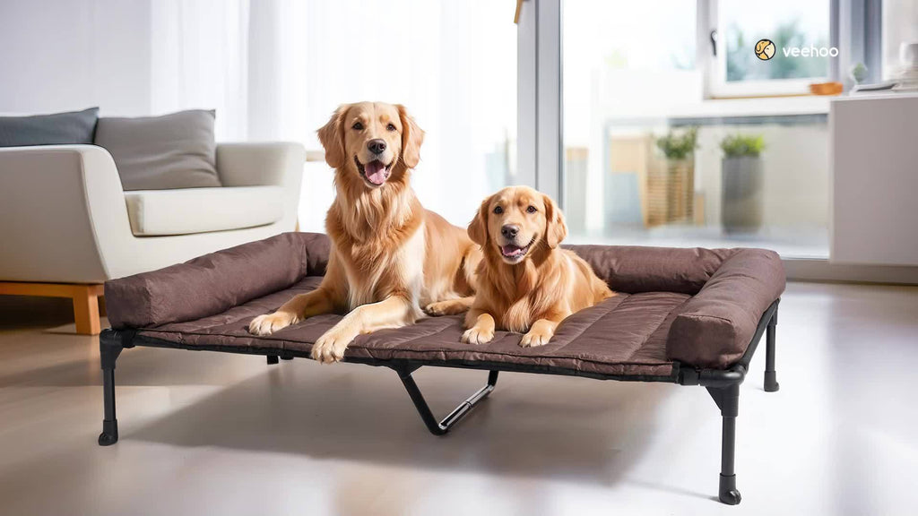 Cooling Elevated Dog Bed with Removable Pillow-Top Mat – Raised Bolster Dog Cot with Breathable Mesh and Non-Slip Feet, Dog Sofa Bed for Indoor & Outdoor Use