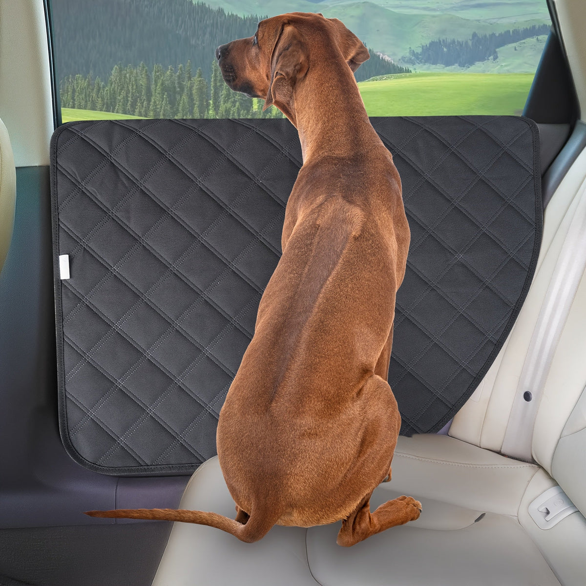 Dog Scratch Protection Car Door Protector 2 Pack - Stain-Resistant Pet Door Guard Cover for Car, Truck, and SUV Interior, Easy Install Anti-Scratch Dog Door Panel Shield, Black