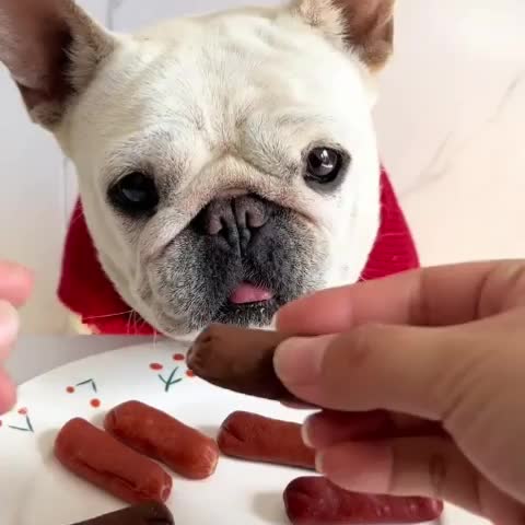 Duck Jerky, Freeze-Dried Chicken Dog Treats, Soft Chewy Training Rewards, Healthy Digestible Beef Sausage, Fresh Breath Snack, Chicken Leg Grind, for All Dog Sizes: Small, Medium, Large