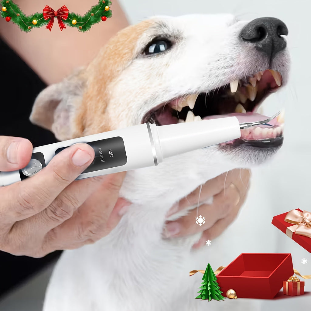 Electric Pet Teeth Cleaning Kit for Cats and Dogs, USB Rechargeable Tartar and Stain Remover with 4 Cleaning Heads and 5 Modes - Dental Care Tool for Pets