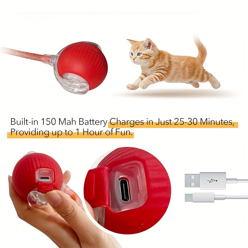 Electric Self-Rolling Cat Ball Toy, Automatic Interactive Cat Toy with Elastic Net Tail, Fast-Rolling Smart Motion Ball for Indoor Cats and Kittens on Carpet and Floors