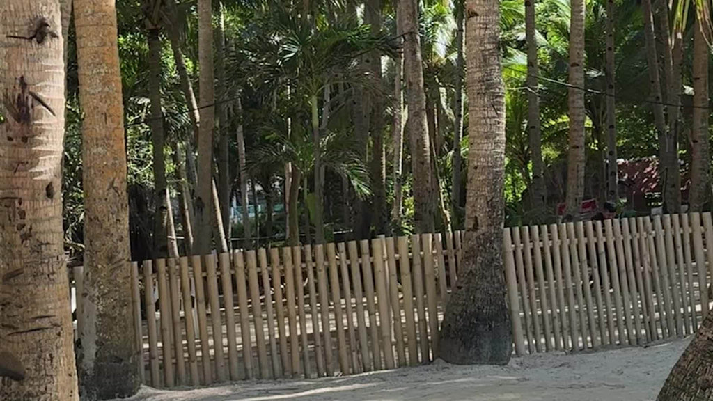 便携式语言翻译机——双向即时语音翻译，支持136种语言，支持WiFi和离线翻译，适用于旅行、商务、学习及国际交流的高精度AI翻译器
