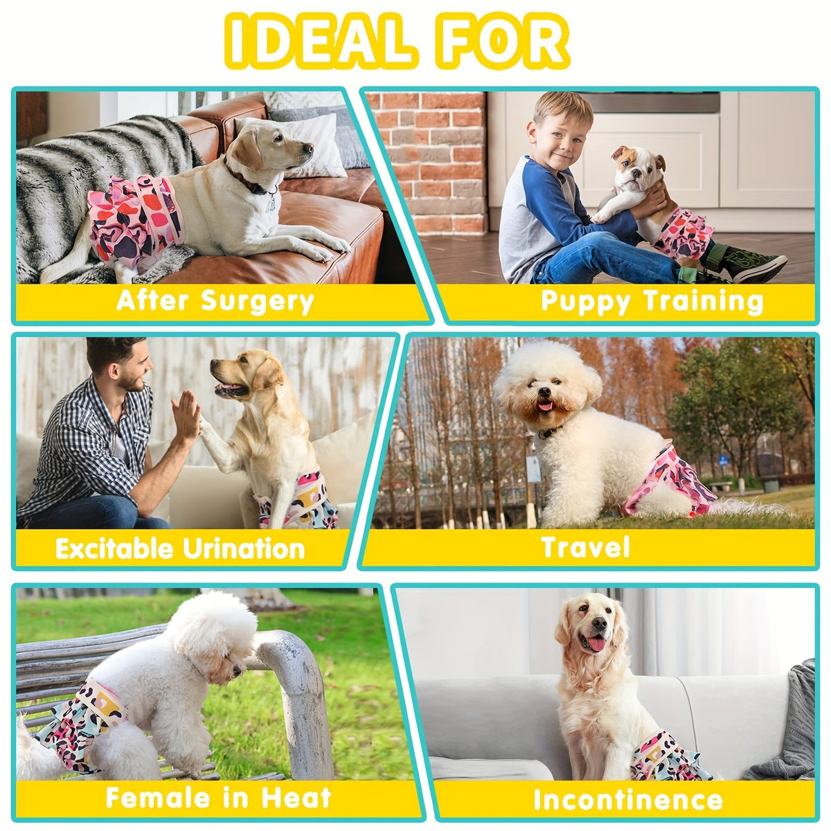 Washable Female Dog Diapers 3-Pack, Reusable and Highly Absorbent – Dog Period Panties for Female Dogs in Heat, Incontinence, and Puppy Training, XS to L