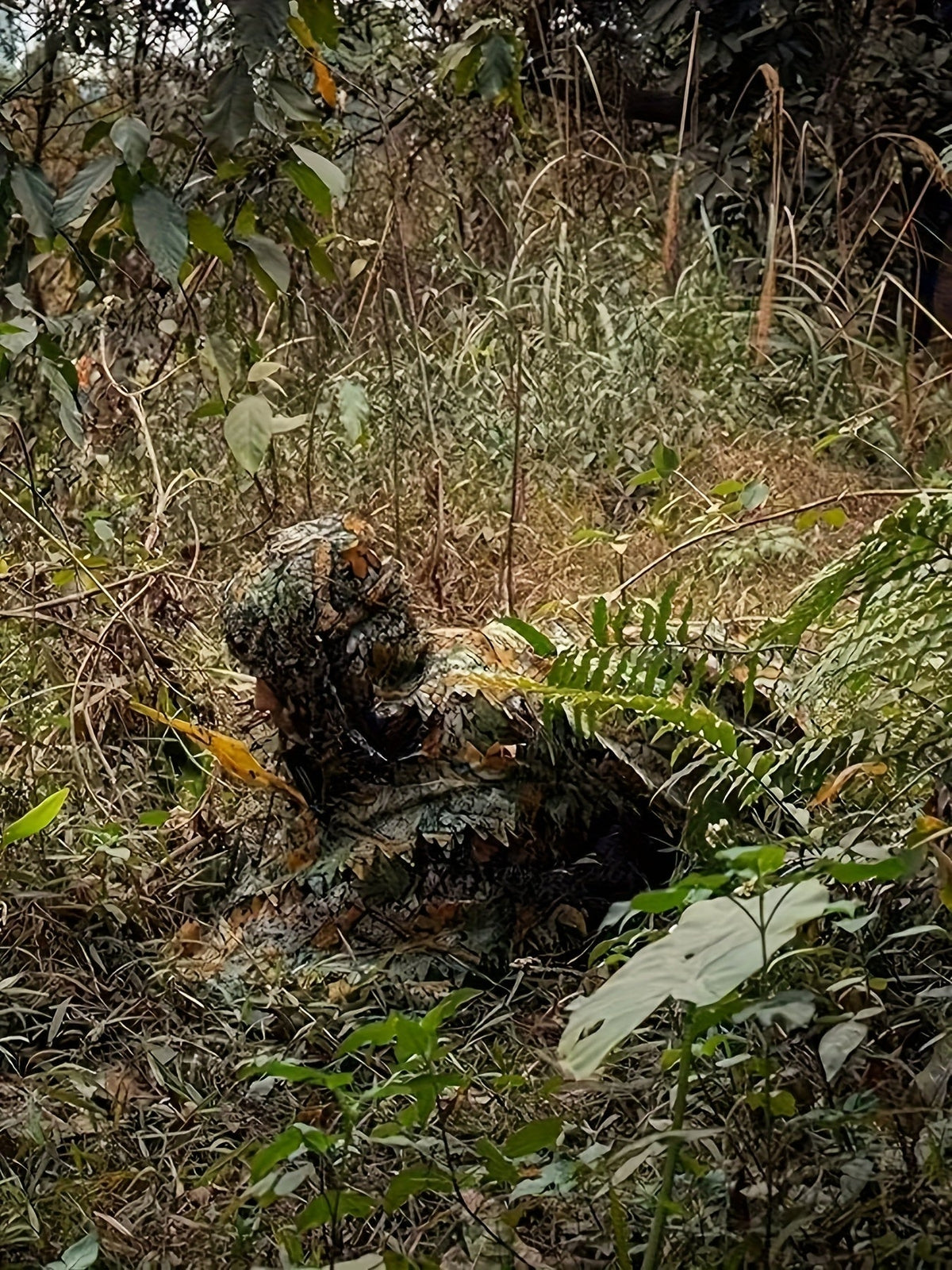 3D Maple Leaf Camouflage Ghillie Suit with Net Hood - One Size Fits S-XL Camo Hunting Suit for Deer Turkey Hunting, Bird Watching, Airsoft, Paintball, Survival Games, Wildlife Photography (Fern Green)