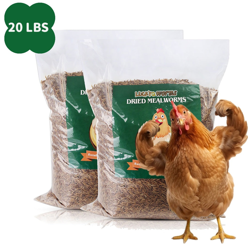 Dried Mealworms for Chickens, Wild Birds, and Ducks – High-Protein Natural Pet Food for Hens, Turtles, Fish, Lizards, and Hamsters, Non-GMO Dried Insect Animal Feed, Multiple Sizes 0.6–40 lbs