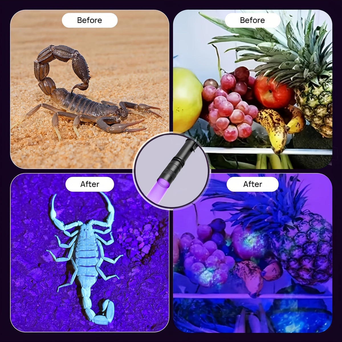 UV Blacklight Flashlight 395nm Portable Ultraviolet Light for Counterfeit Detection, Pet Urine Stain, Scorpion Hunting, and Ringworm Detection, Multi-Pack (4/6/8/12 pcs), AAA Battery Powered