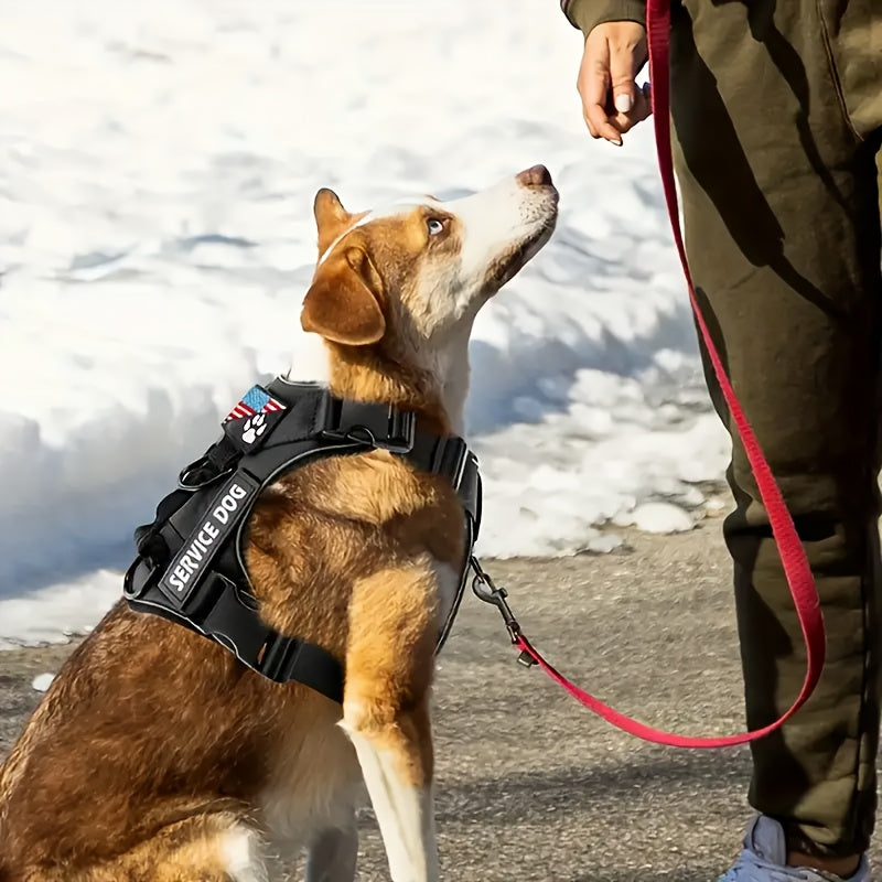 Service Dog Harness Vest with 5 ID Patches – Reflective Adjustable Oxford Vest with Breathable Mesh Lining, Service Dog ID System for Small, Medium, and Large Dogs, Sizes XS-XL, Public & Mobility Aid