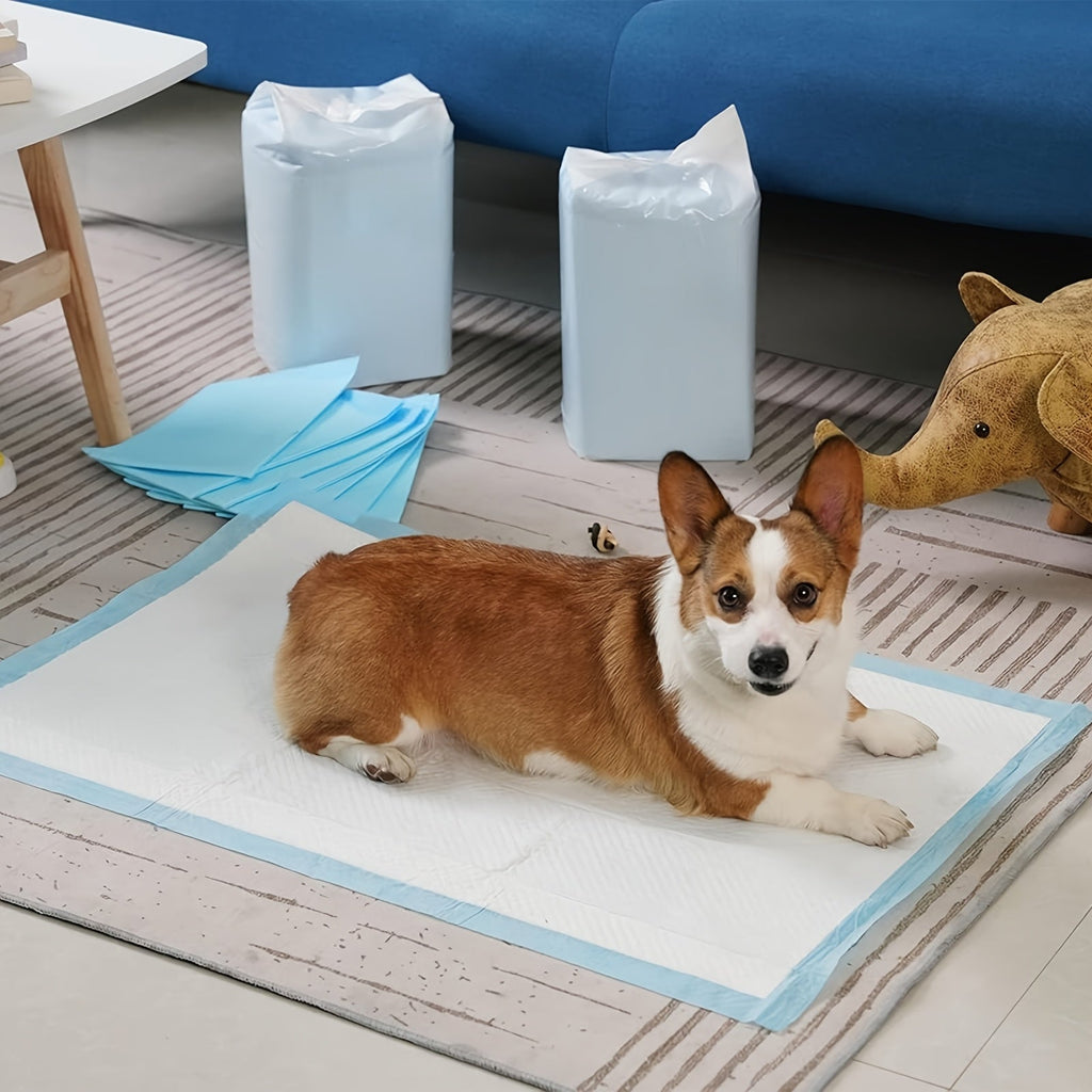 超强吸水狗狗尿垫 23.6x23.6 英寸，适用于幼犬训练及室内宠物如厕——防漏除臭训练垫，50 / 100 / 200 / 400 片超值大包装