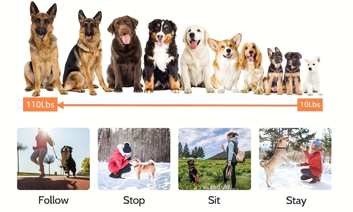 9-Level Remote Dog Training Collar – Rechargeable E-Collar with Shock, Vibration & Tone Modes, 500M Range, Adjustable for Small, Medium, and Large Dogs, Safe Electronic Bark Control