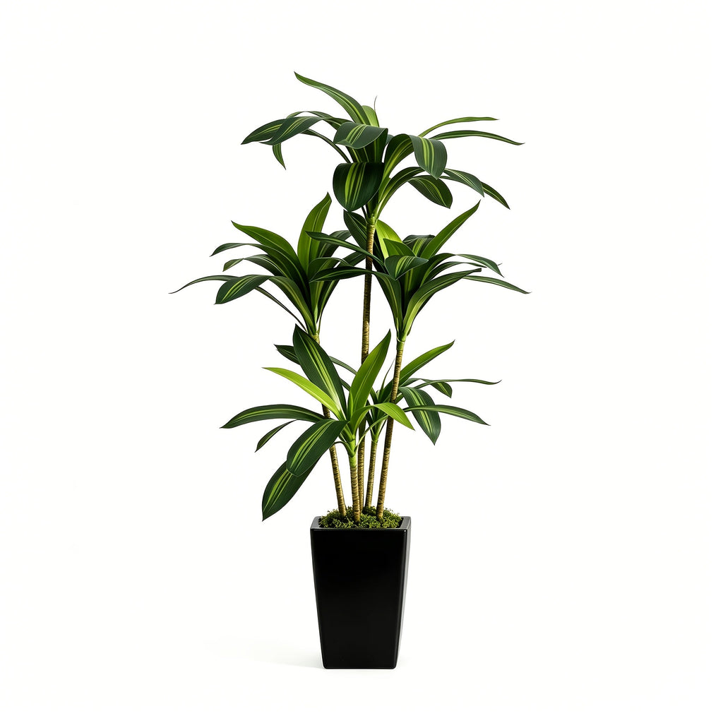 Artificial Dracaena Yucca Floor Plant in Pot 5FT & 6FT Faux Indoor Tree Adjustable Branches Artificial Moss No Maintenance for Home Office & Living Room Decor – Black & White Planter