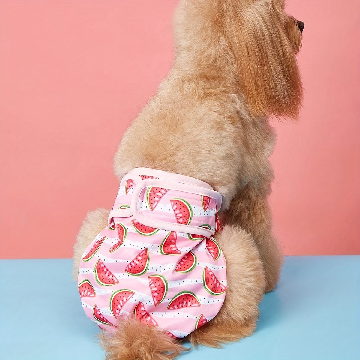 Washable Physiological Dog Pants - Female Dog Period Underwear & Reusable Pet Diaper Panties, Breathable Comfortable Fit for Small Medium Large Dogs, Cute Patterns XS-XL, Dog Heat Cycle & Incontinence Solution